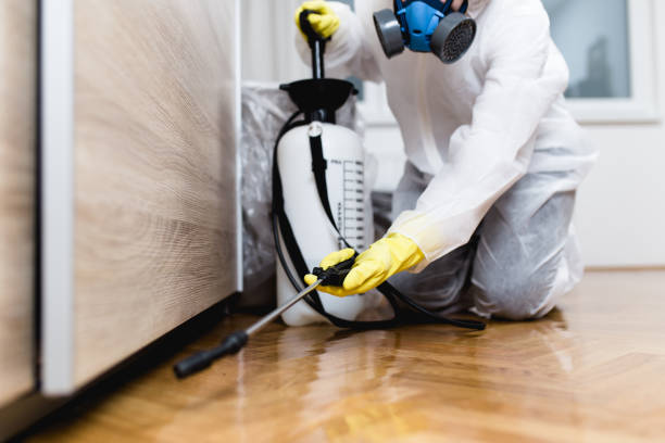 Wasp Removal Services in Carthage, TX