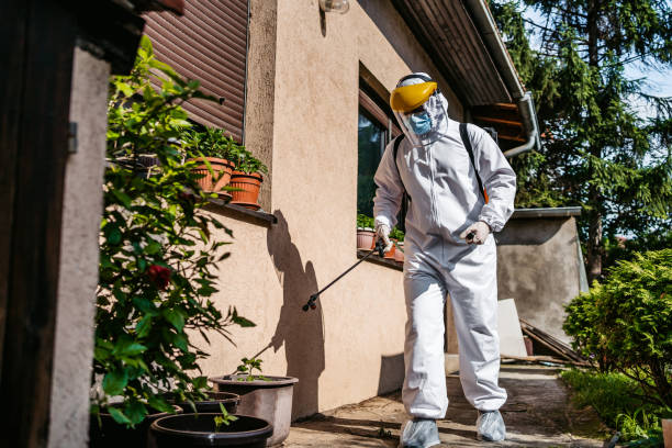 Best Pest Control Near Me in Carthage, TX